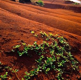 暴雪将为《暗黑破坏神4：憎恨之躯》持续提供支持